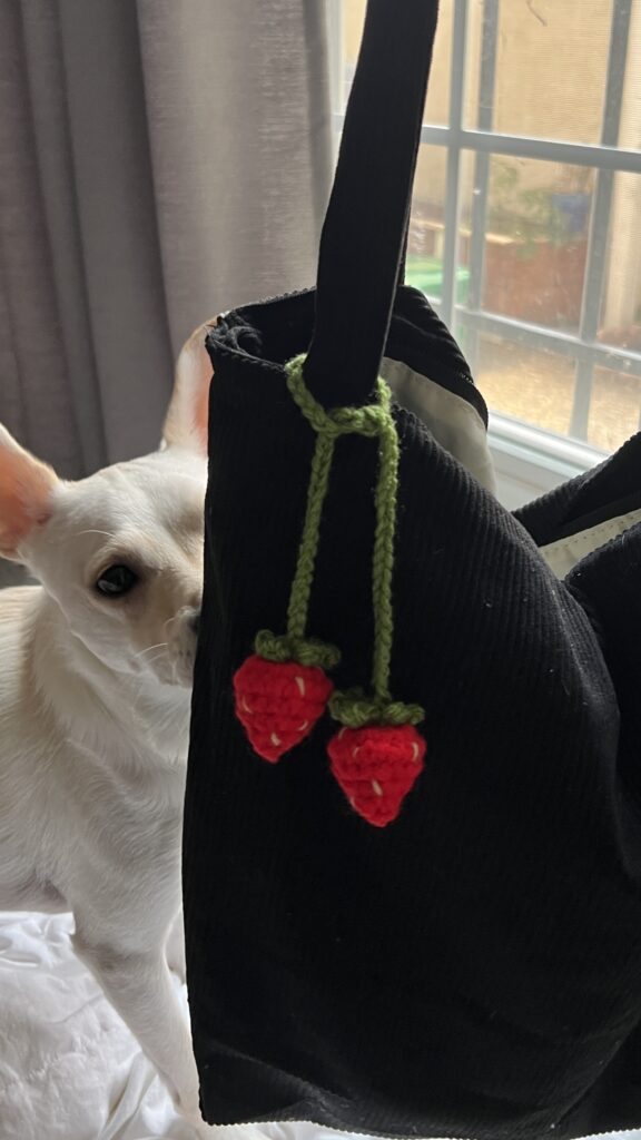 Strawberry Seed Knit Tote