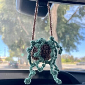 crochet hanging plant
