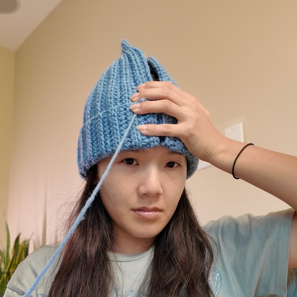 essential crochet beanie 1.13.1