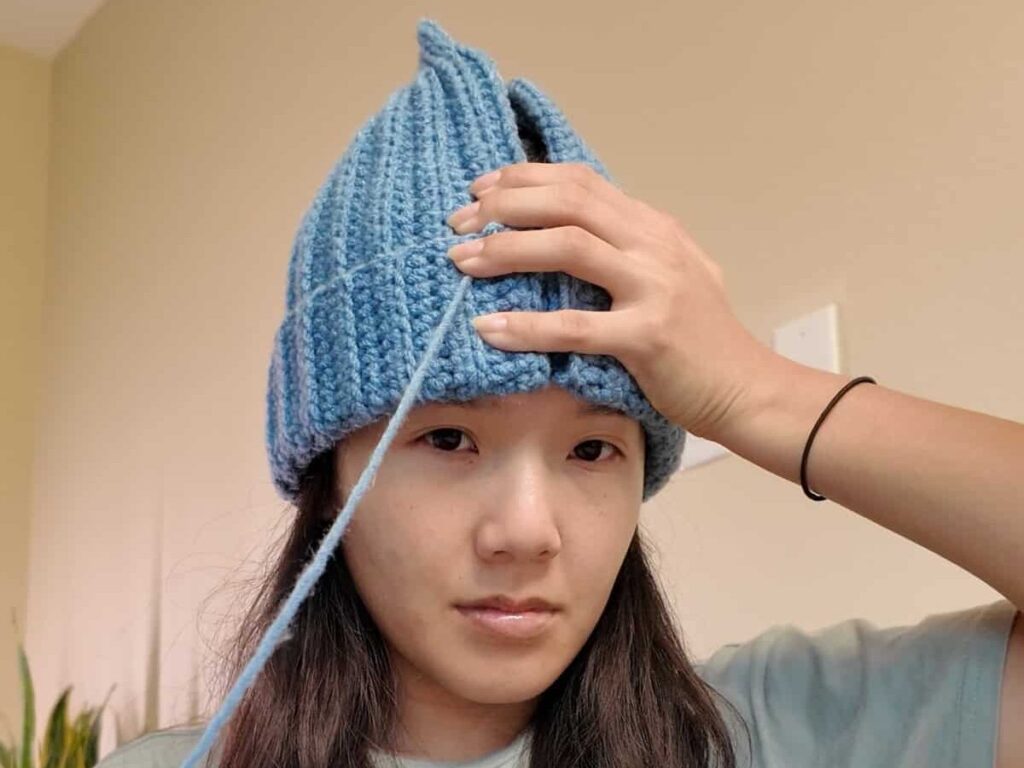 essential crochet beanie 1.13.1 edited